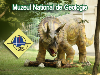 Muzeul National de Geologie